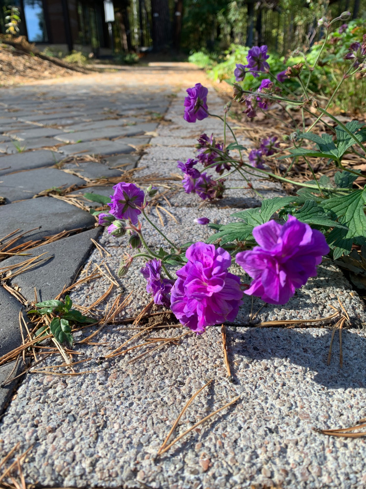 Таргайские усадьбы