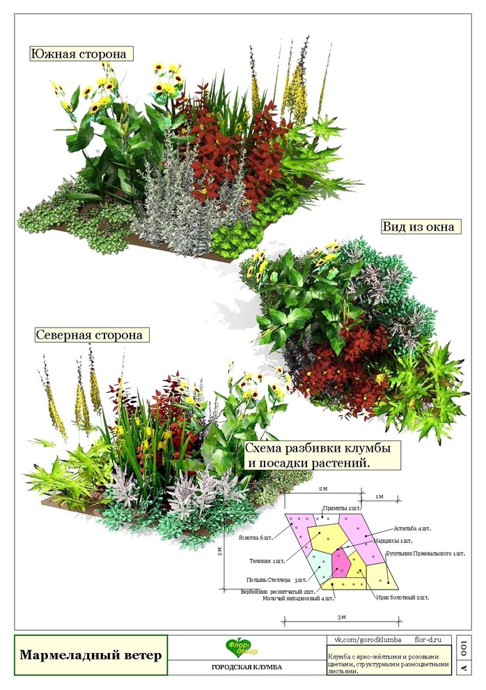 Схемы клумб из многолетников