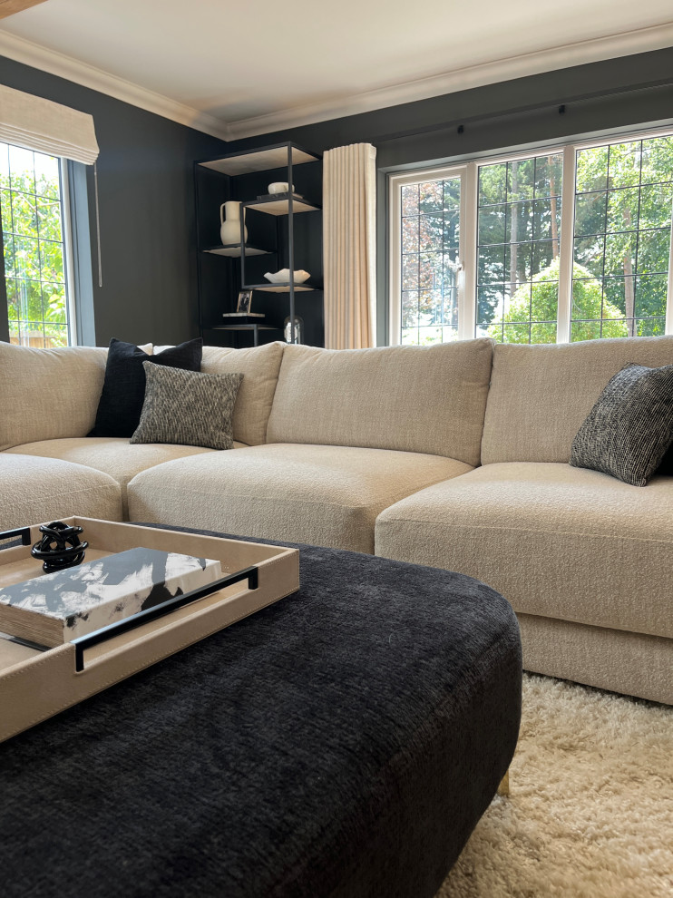Modern Luxury Living Room