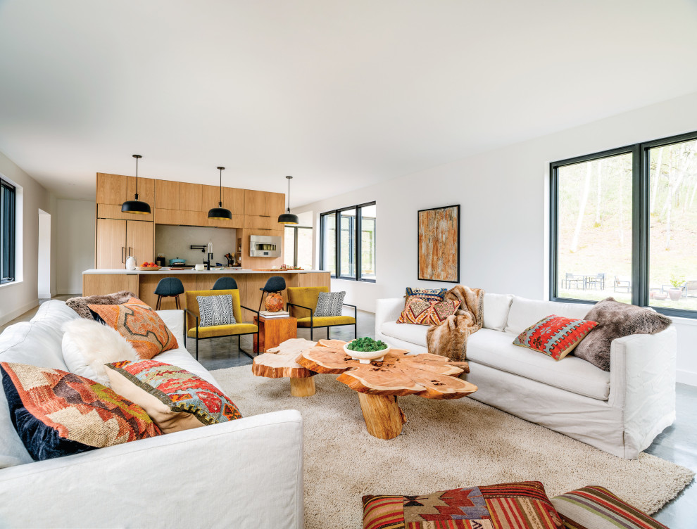 Design ideas for a scandinavian living room in Minneapolis.