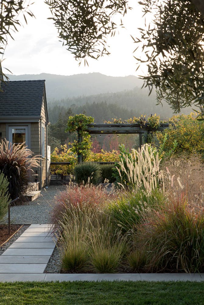 10 Ways to Use Ornamental Grasses in the Landscape