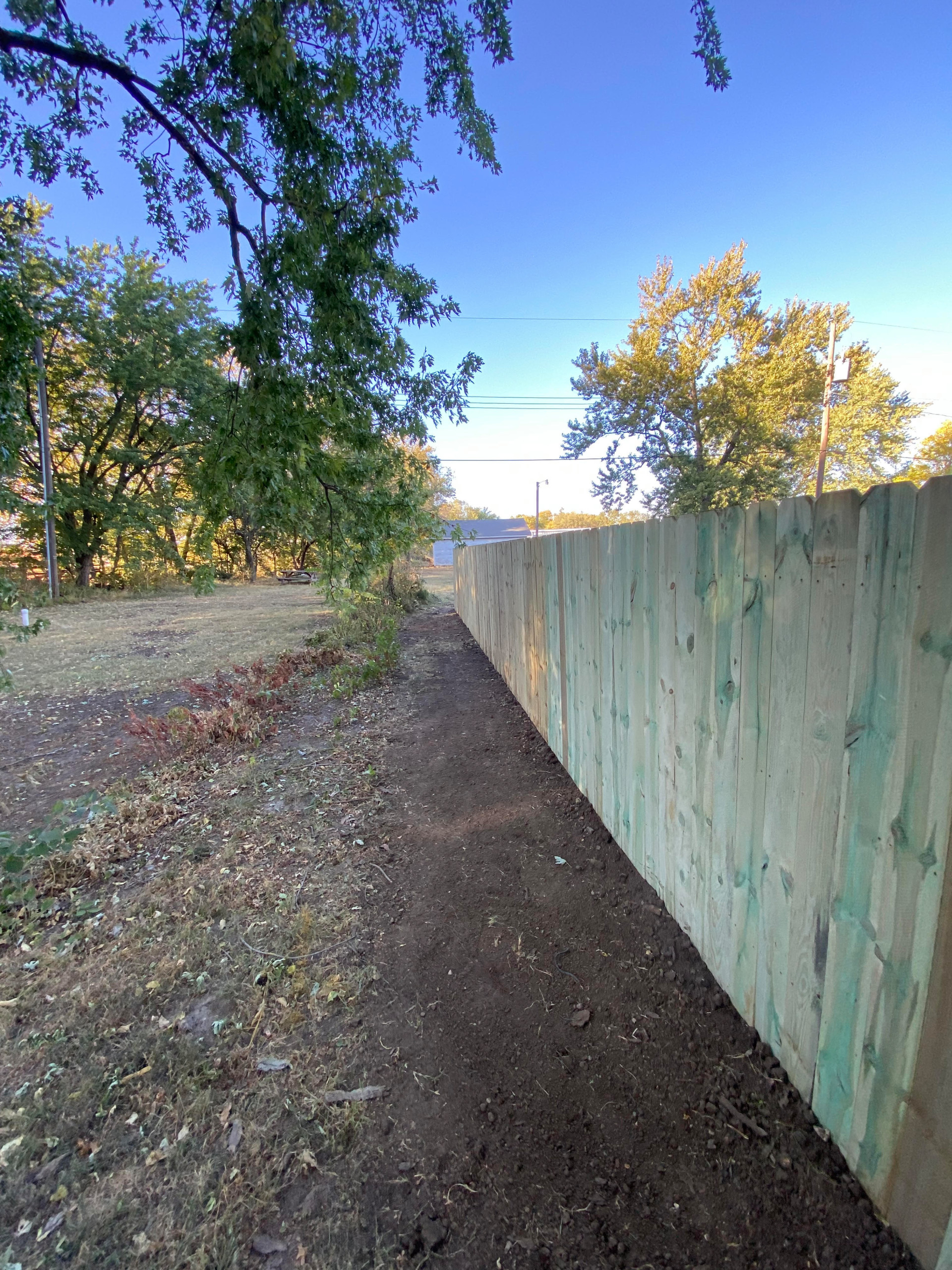 Privacy Fence