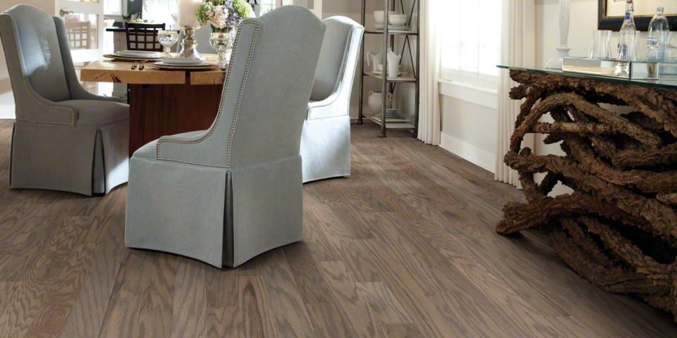 Photo of a mid-sized beach style open plan dining in Other with grey walls, laminate floors and brown floor.