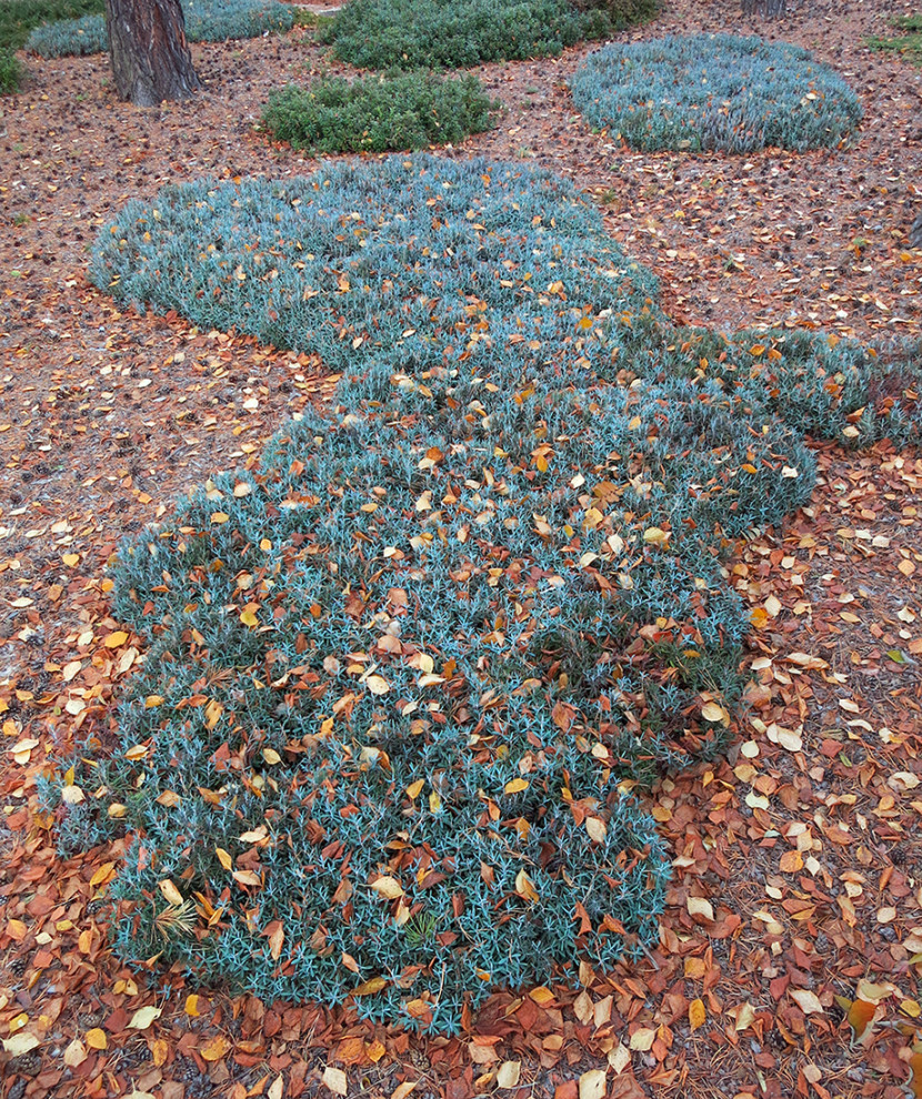 Не нужно бояться темноты