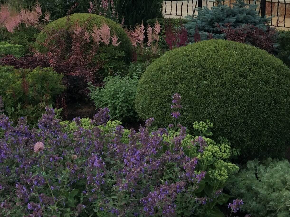 ЖИТЬ СВОБОДНО