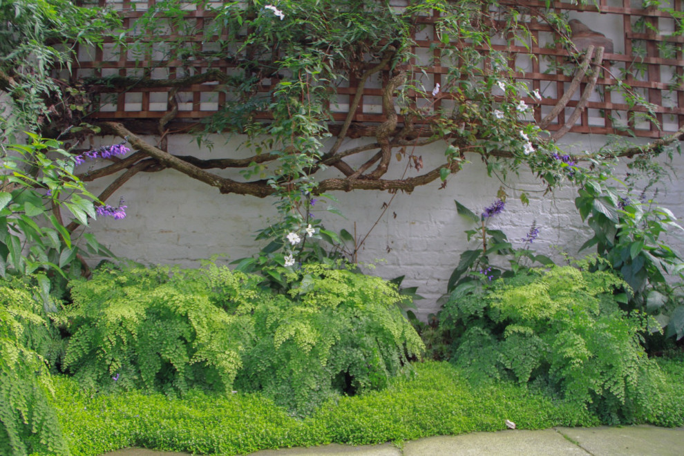 Immagine di un piccolo giardino stile shabby esposto a mezz'ombra dietro casa con recinzione in legno