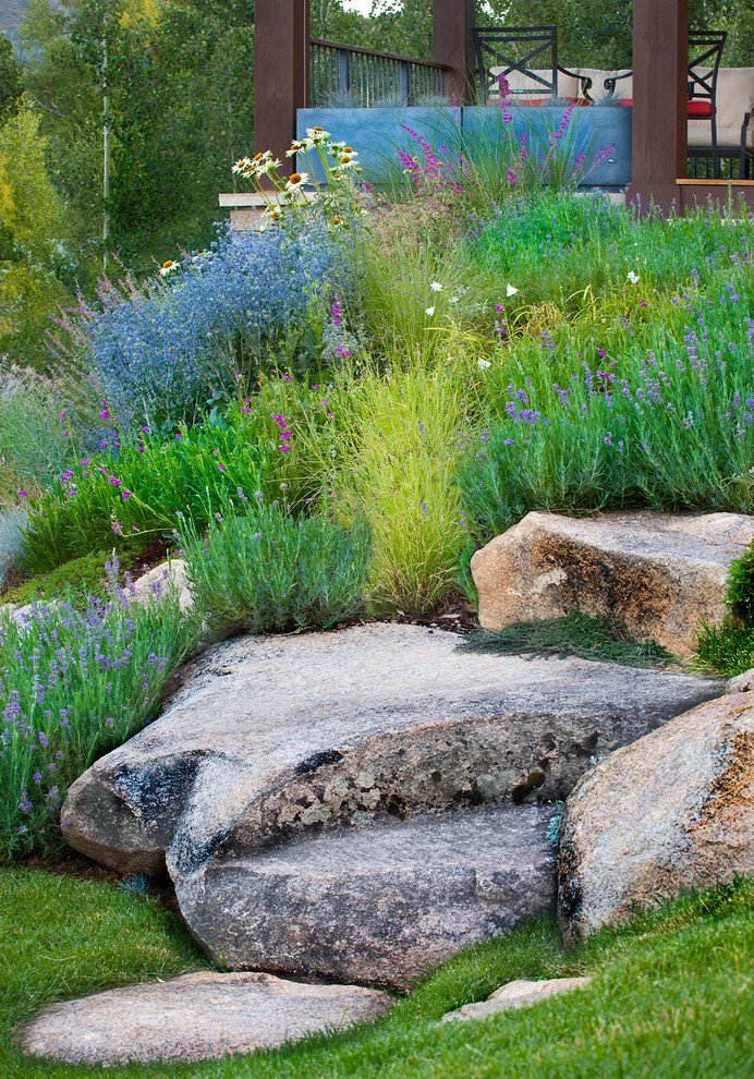 This is an example of a traditional sloped garden in Denver with with rock feature.