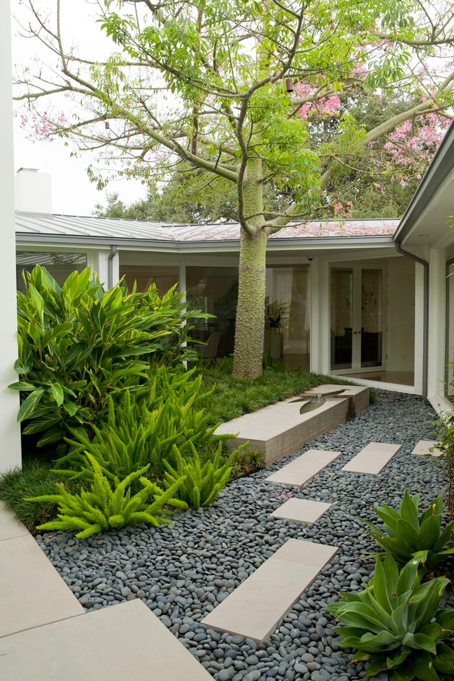 Design ideas for a contemporary courtyard garden in Los Angeles with a water feature.