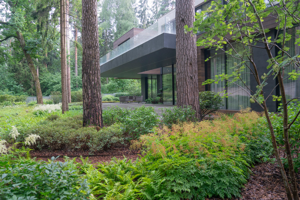 В гармонии с лесом. Модернистский сад. КП Новоуспенский 2020 г