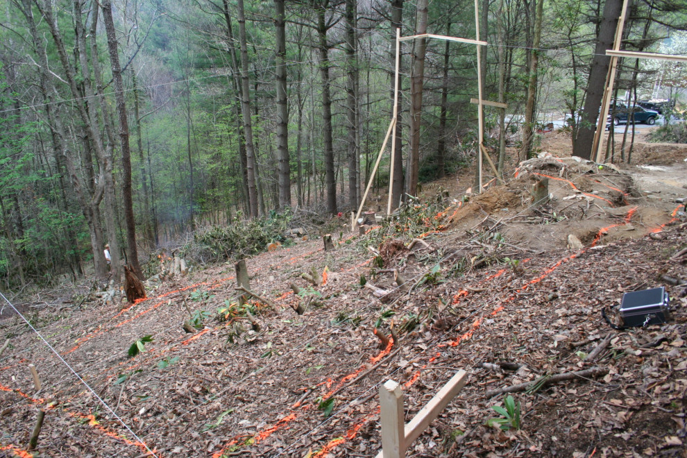 Valle Crucis 386 Little River Road