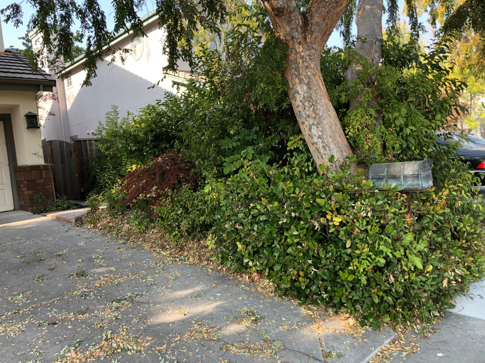 West San Jose
