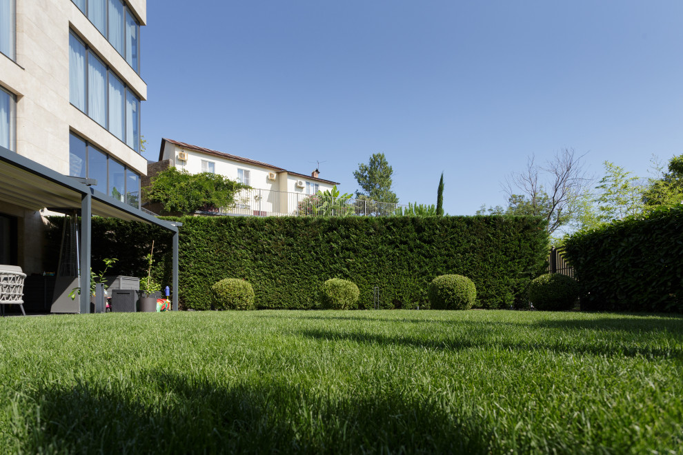 Розмарин. Ландшафтный Дизайн