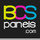 BCS Panels