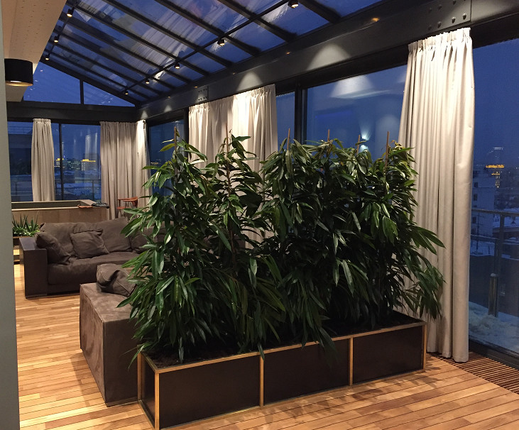 Комфортный зимний сад в центре москы