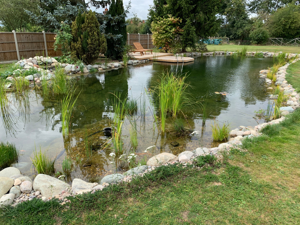 Immagine di un grande laghetto da giardino esposto in pieno sole in estate con sassi di fiume