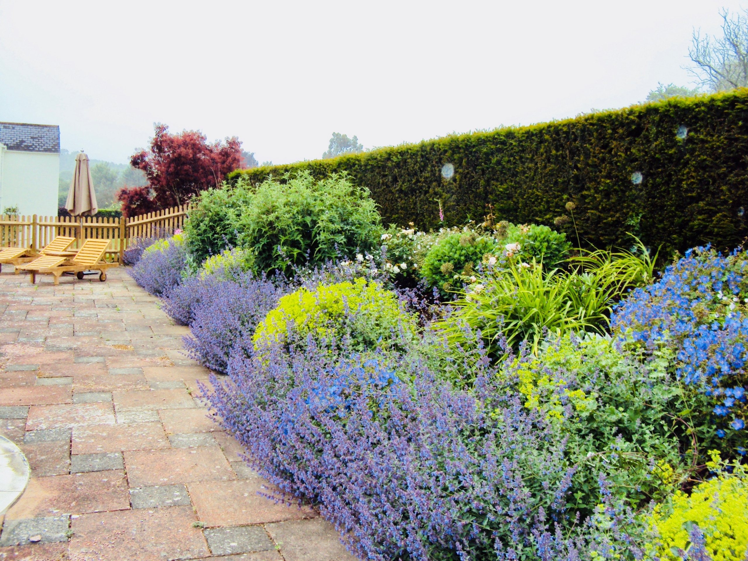 English Country Garden