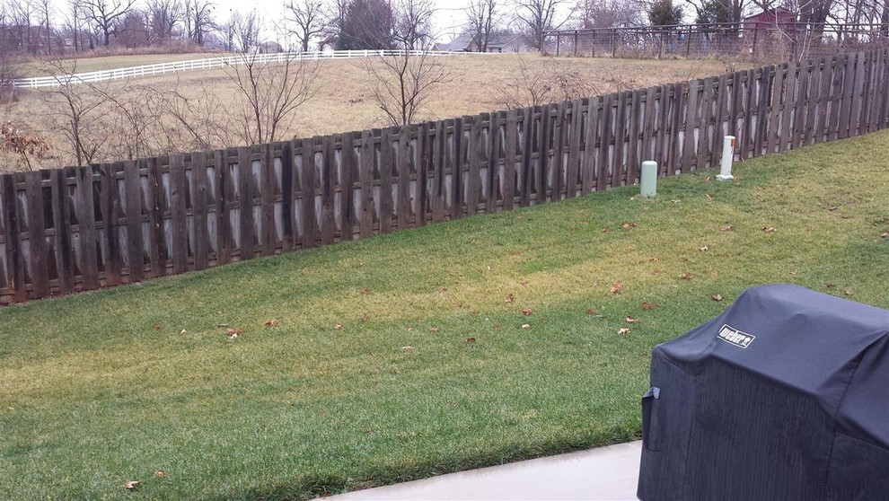 Lawn turning yellow caused by alkaline soil? (pH 7.4)