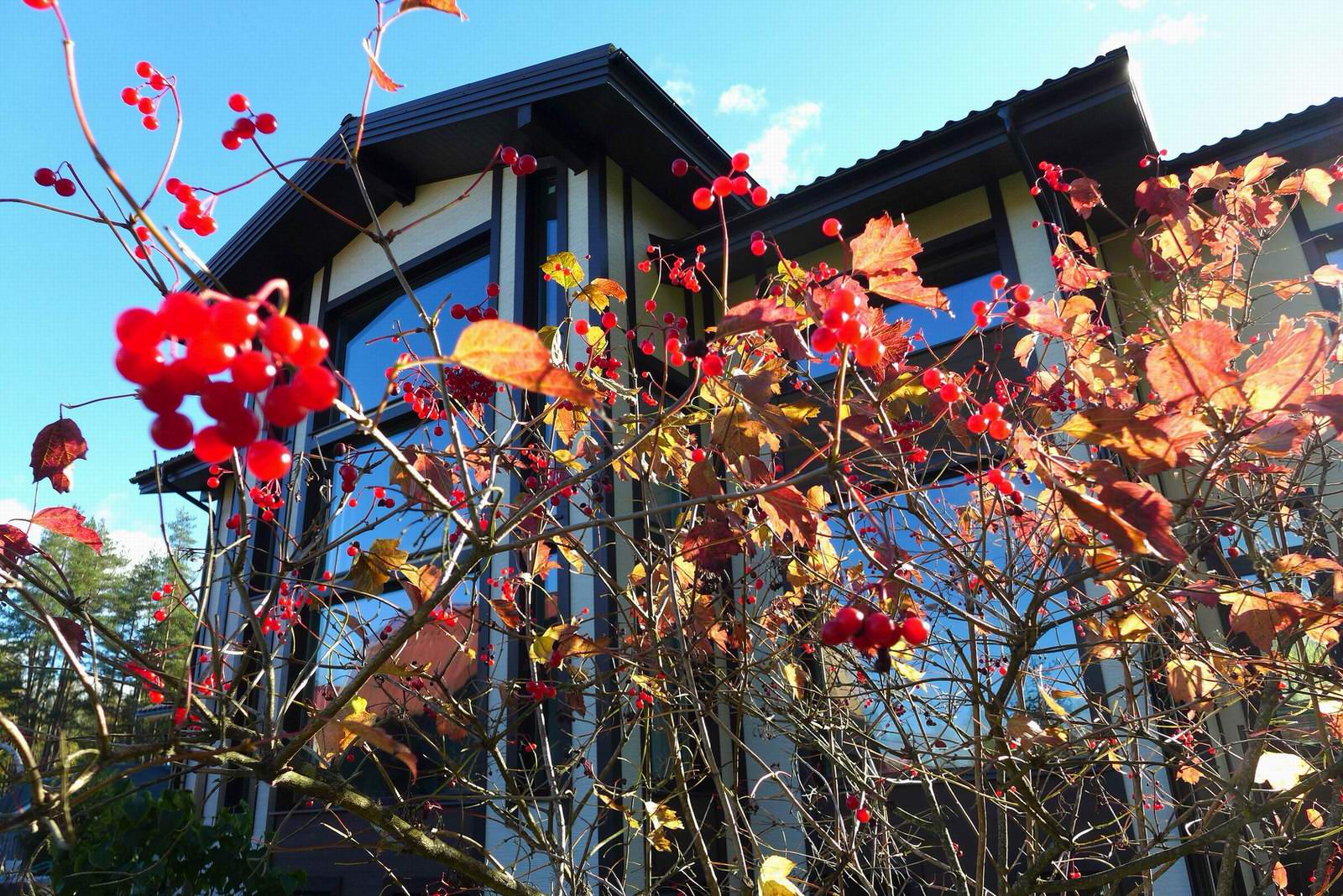 Дом для внуков 470 кв.м.