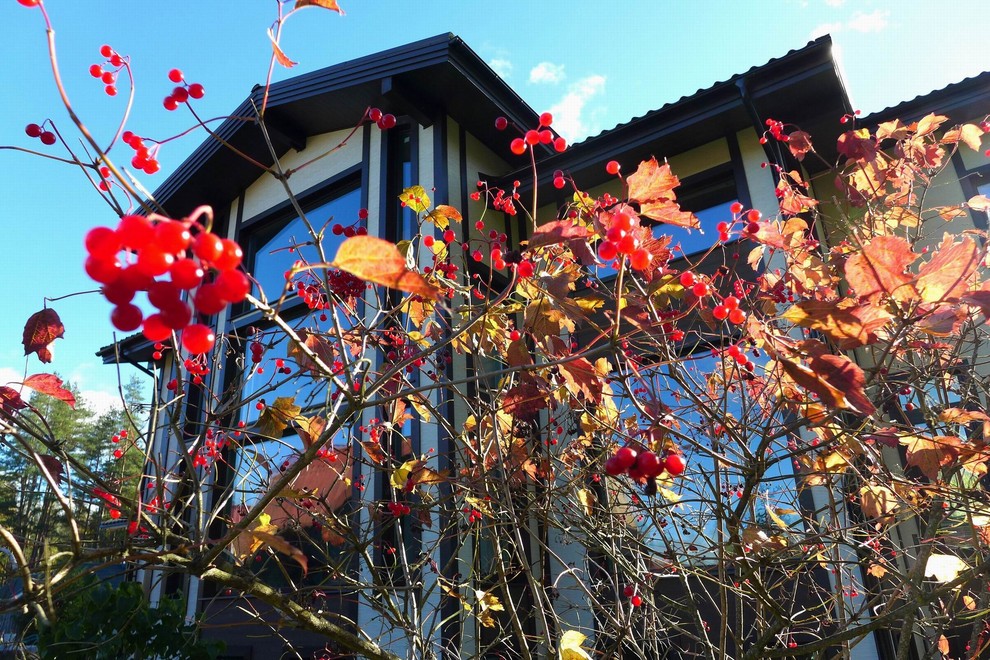 Дом для внуков 470 кв.м.