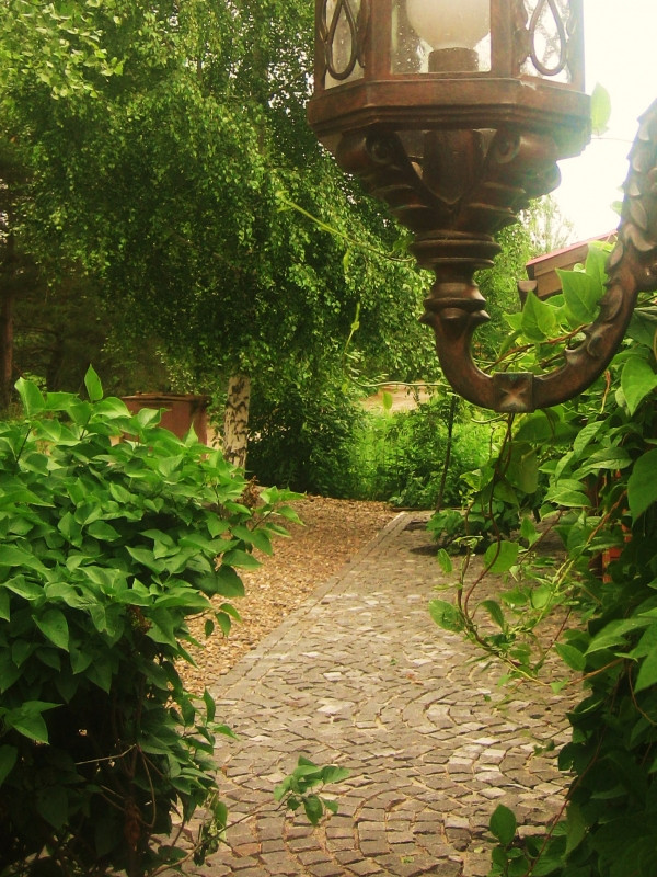 Городецкий район