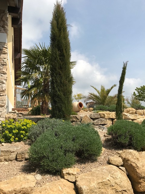 Mediterraner Garten In Thuringen Mediterranean Garden Other By Palmen Winterschutz De Houzz Uk