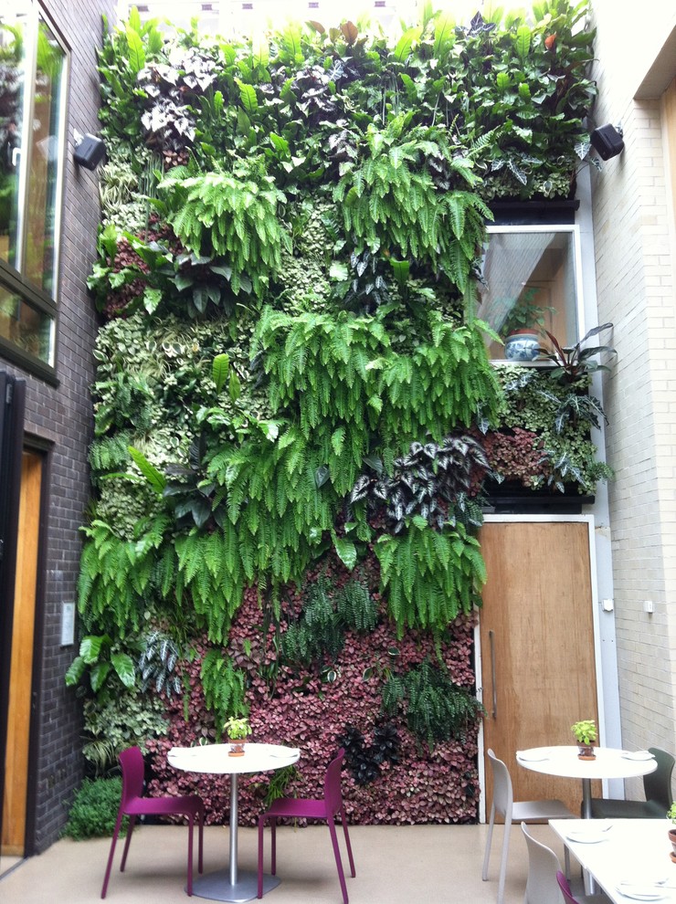 Contemporary patio in London.