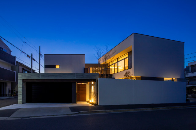 Tag-house moderne-facade