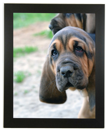 Wide Satin Black Picture Frame, 1 1/2" Wide, Empty Frame, 8x10