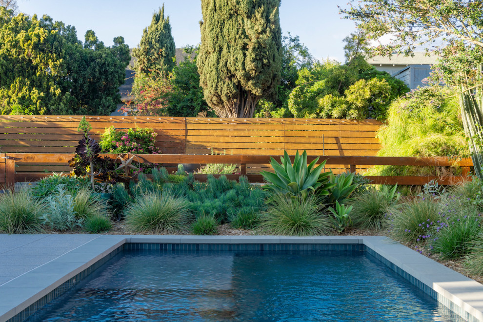 Photo of a mid-sized modern backyard rectangular natural pool in Los Angeles with concrete pavers.