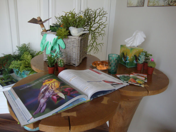 Silver Coast Home Staging