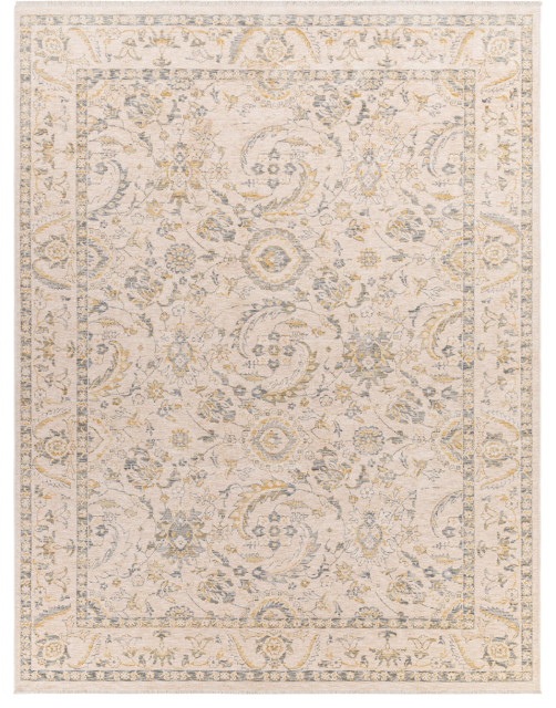 Chicago Area Rug Traditional Area Rugs by PlushRugs Houzz