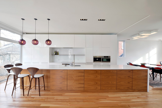 Contemporary Kitchen trendy-koekken