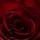 webuser_663218519