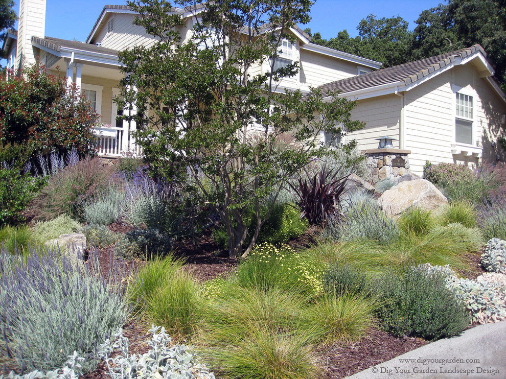 Photo of a large mediterranean sloped full sun garden for summer in San Francisco with a garden path and mulch.