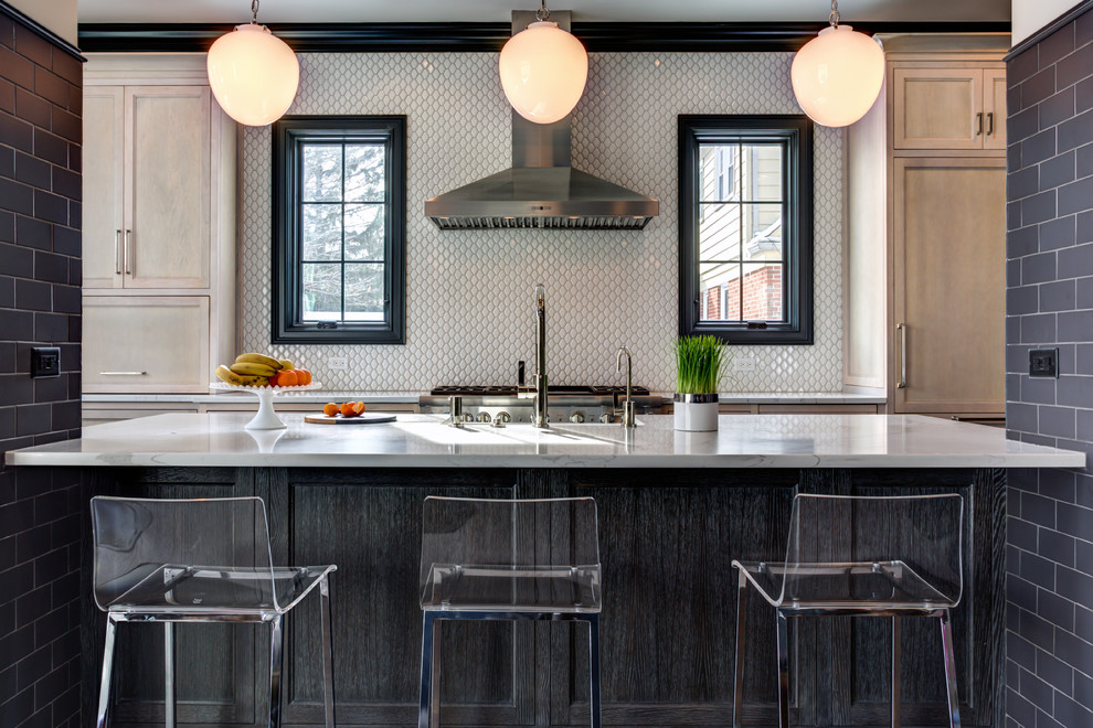 Kitchen - transitional kitchen idea in Chicago
