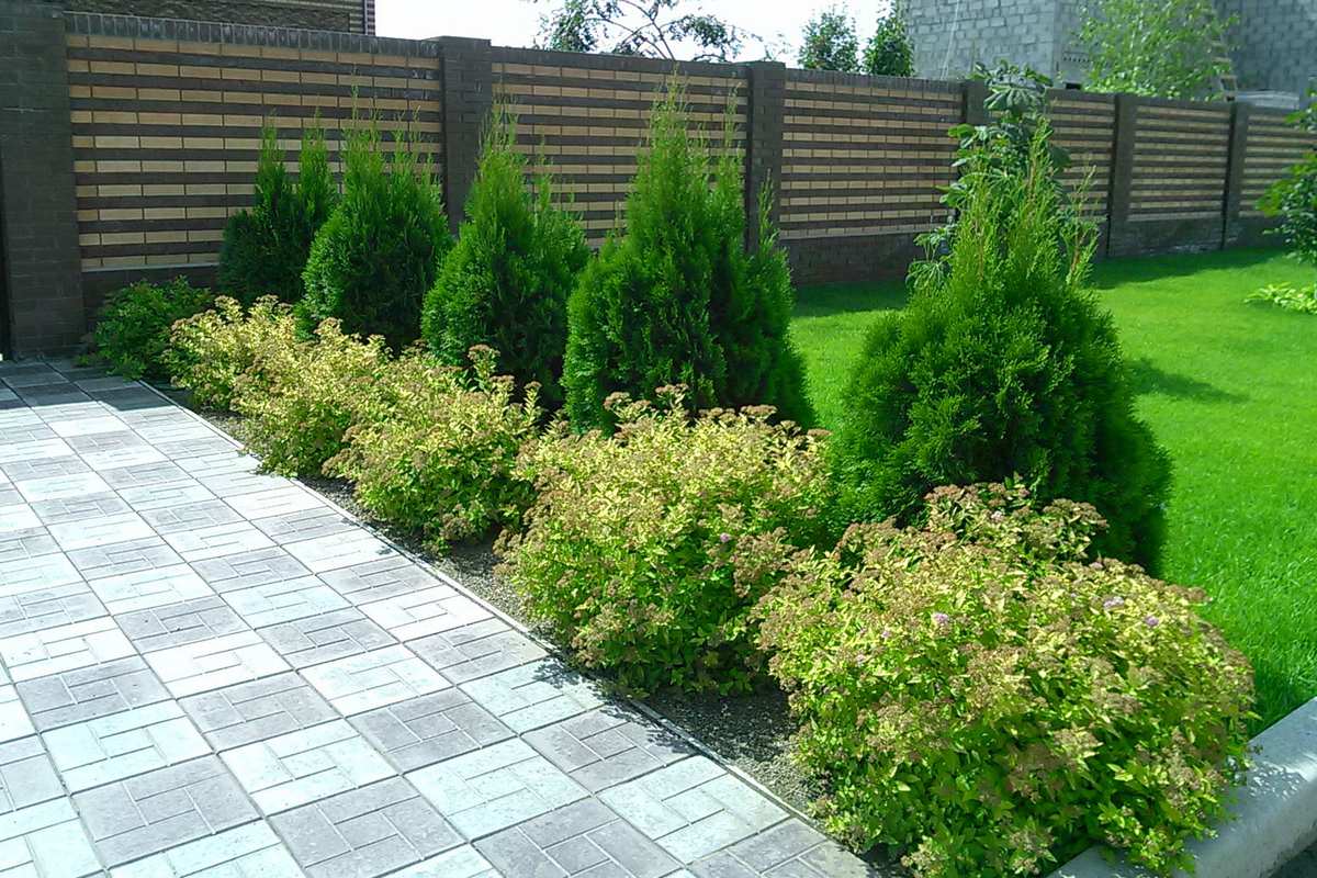 "Теплый ветерок"