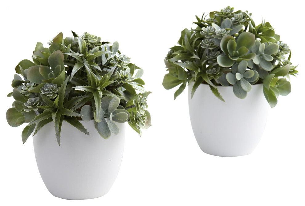 Mixed Succulent With White Planter, Set of 2, Green