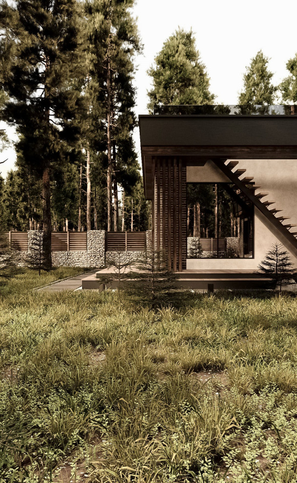 Фасады частного дома в Санкт-Петербурге