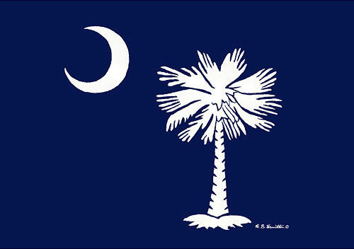 Betsy Drake Palmetto Moon South Carolina Flag 30 In. By 50 In. Comfort ...