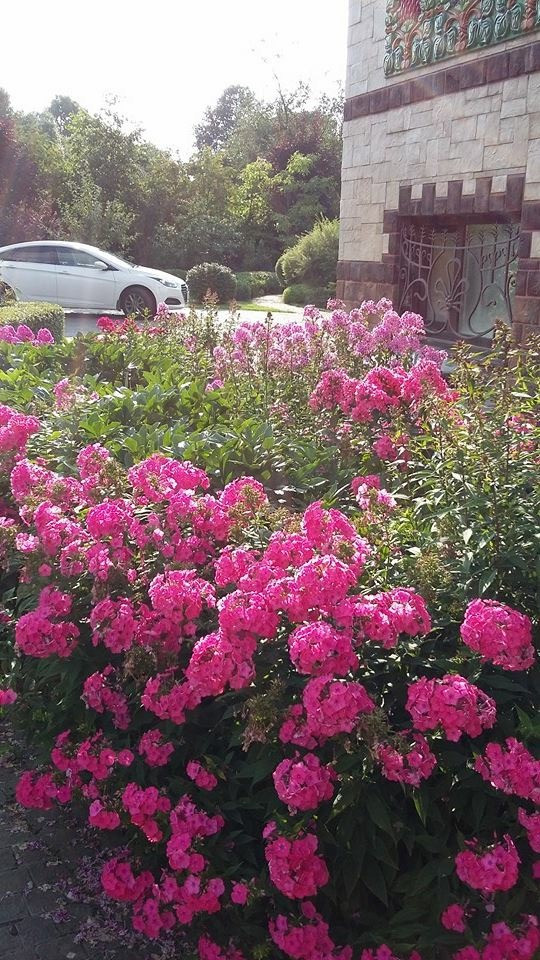 Сенькино московская обл