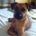 heather_wise12