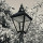 Black Lantern Decor