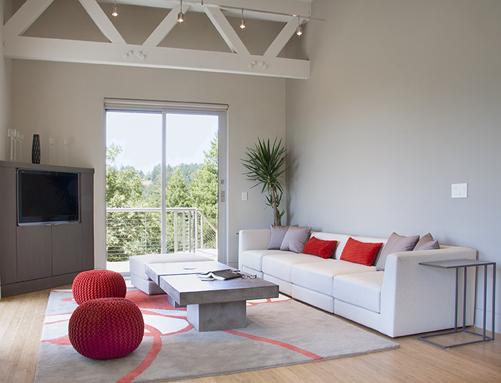 Photo of a modern living room in San Francisco.