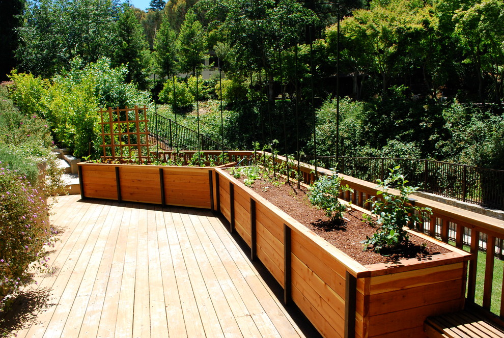 Design ideas for a traditional deck in San Francisco.