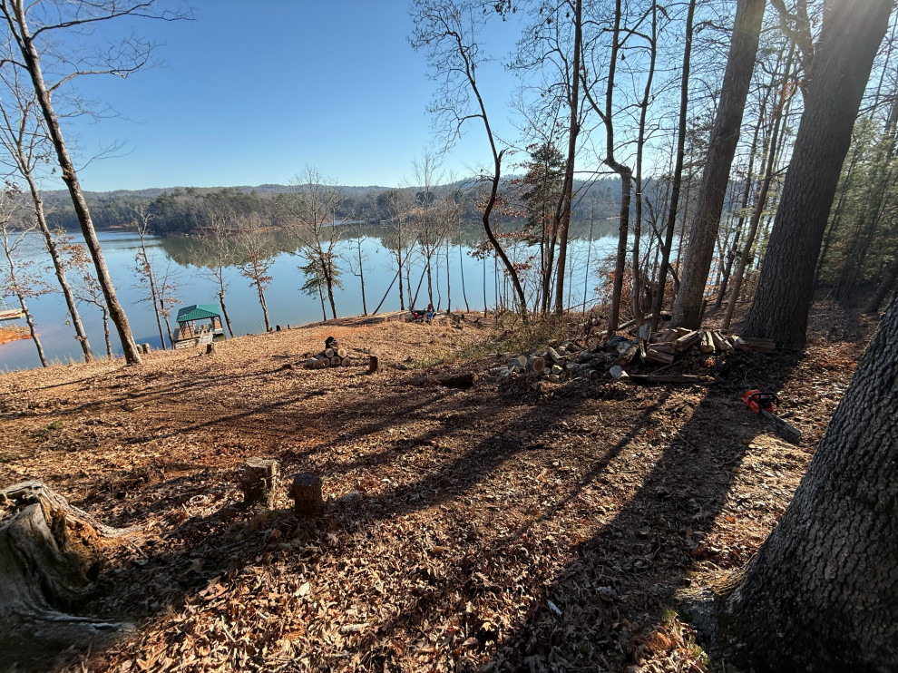 Lake Haven Lodge Tree Clearing