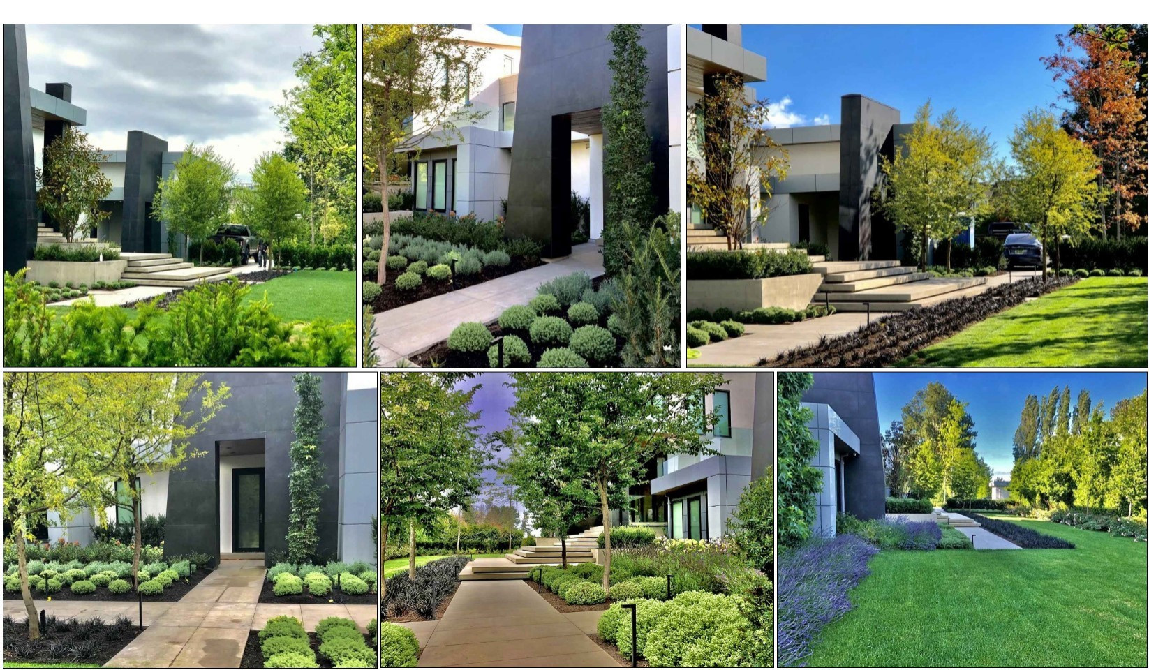 Urban Farm