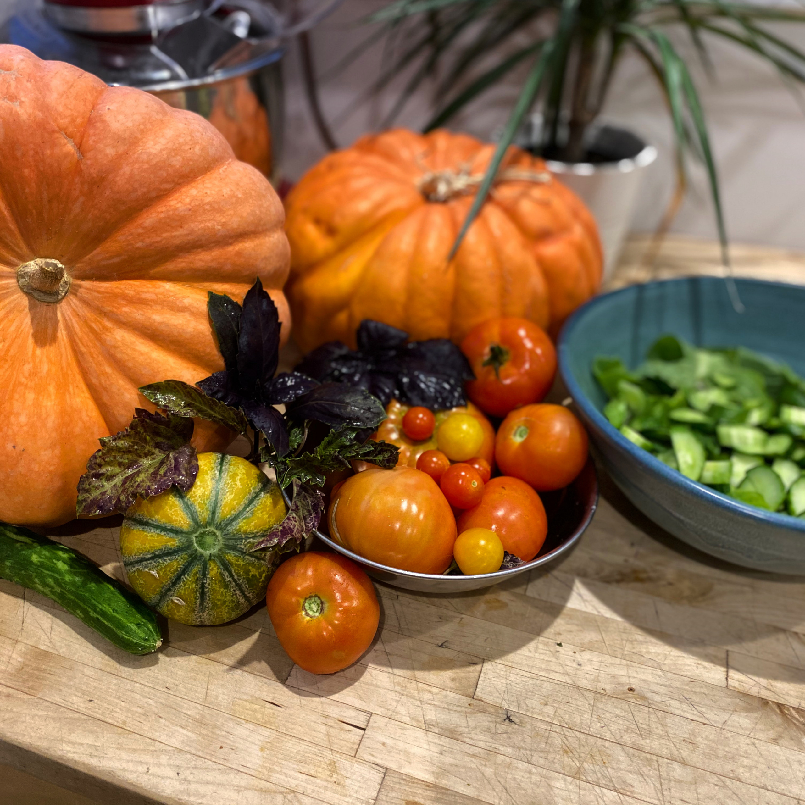 Rustic Kitchen Garden
