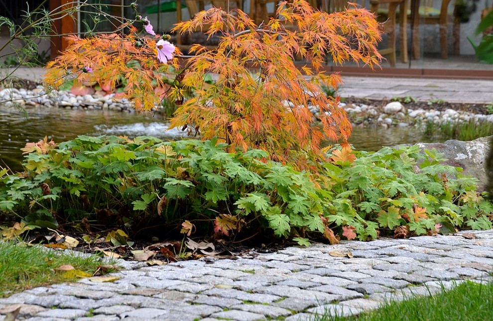 Country Garten in München