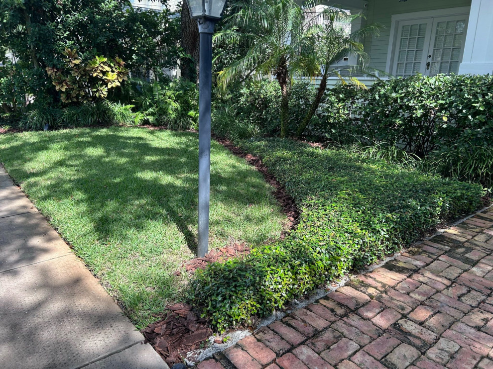 Front and Back Yard Landscape Renovation