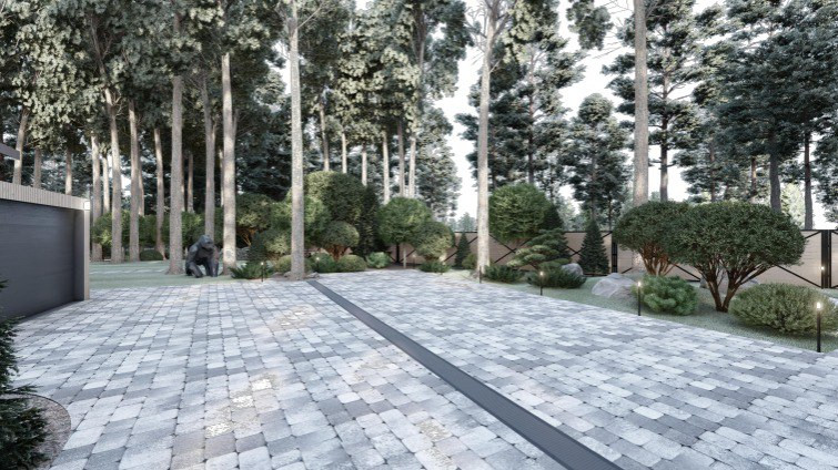 Ландшафт. Лесная погулка